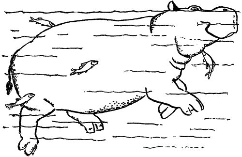 Игорь Акимушкин - С утра до вечера