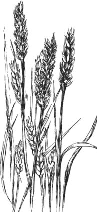 Наталья Сердцева - 99 секретов астрономии