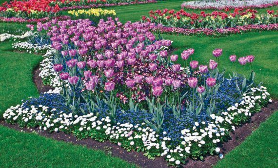 Лариса Петровская - Большая книга дачника