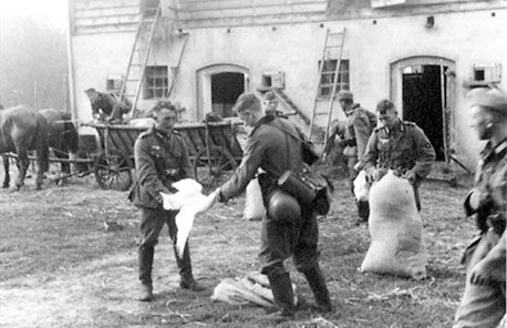 Владимир Побочный, Людмила Антонова - Весенне-летние бои (21.04.-16.07.1942 г.)