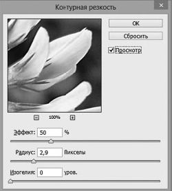 Александр Заика - Photoshop для начинающих