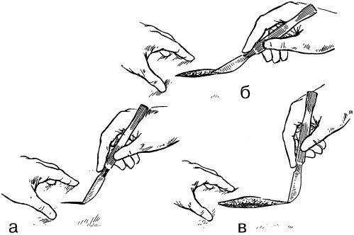 В. Лебедев, Геннадий Семенов - Топографическая анатомия и оперативная хирургия...