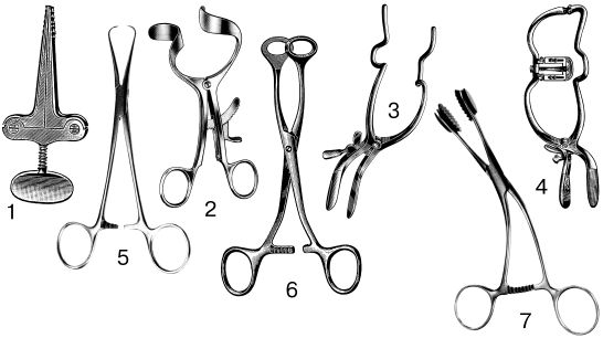 В. Лебедев, Геннадий Семенов - Топографическая анатомия и оперативная хирургия...