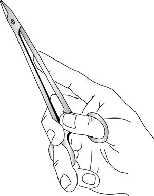 В. Лебедев, Геннадий Семенов - Топографическая анатомия и оперативная хирургия...