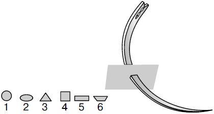 В. Лебедев, Геннадий Семенов - Топографическая анатомия и оперативная хирургия...