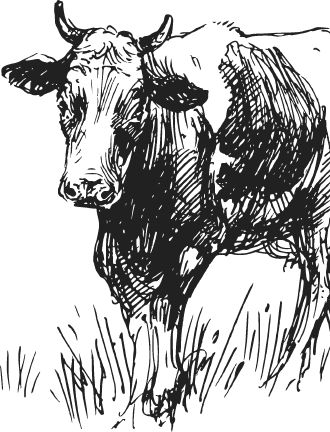 Наталья Сердцева - 99 секретов астрономии