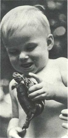 Бернгард Гржимек - Дикое животное и человек