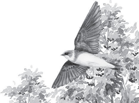 Наталья Сердцева - 99 секретов астрономии