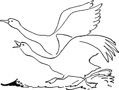 Игорь Акимушкин - С утра до вечера