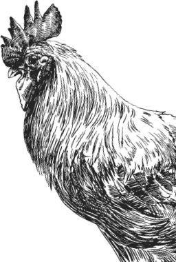 Наталья Сердцева - 99 секретов астрономии