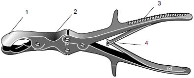 В. Лебедев, Геннадий Семенов - Топографическая анатомия и оперативная хирургия...
