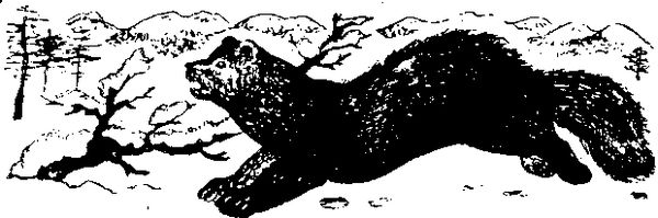 Станислав Олефир - Иду по тайге