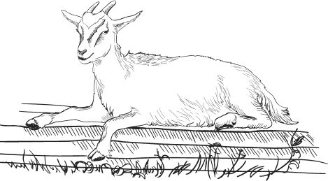 Наталья Сердцева - 99 секретов астрономии