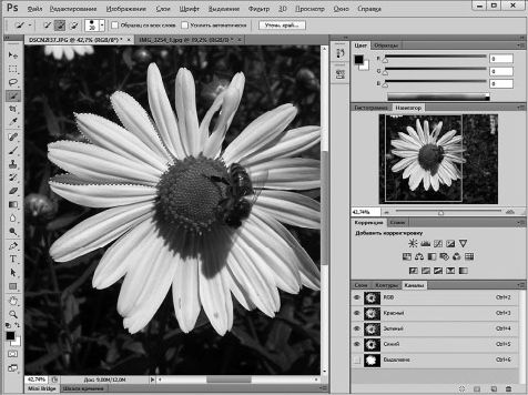 Александр Заика - Photoshop для начинающих