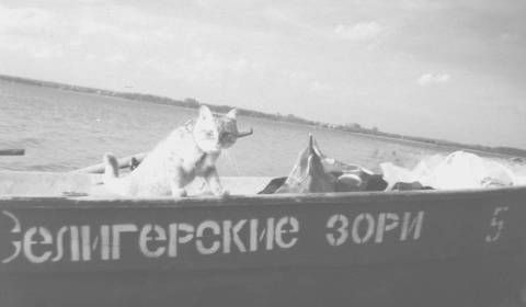 Татьяна Козырева - Девушка с веслом