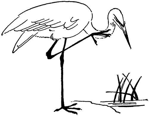 Игорь Акимушкин - С утра до вечера