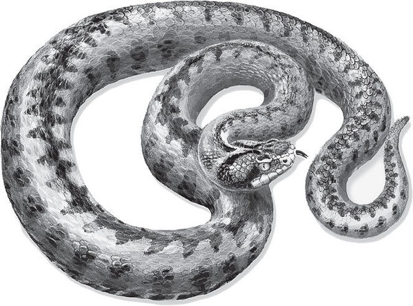 Наталья Сердцева - 99 секретов астрономии