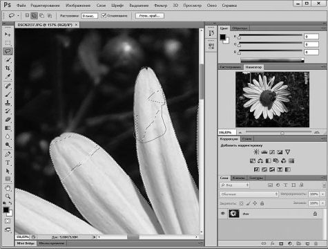 Александр Заика - Photoshop для начинающих