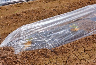 Лариса Петровская - Большая книга дачника