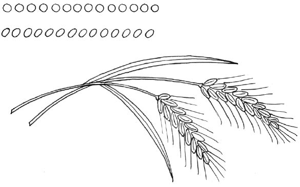 Галина Лебедева, Ольга Тихомирова - Пластилиновая картина. Для работы с детьми...