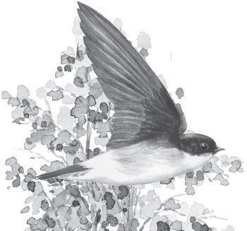 Наталья Сердцева - 99 секретов астрономии