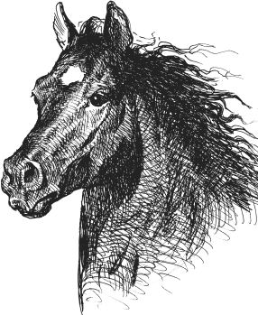 Наталья Сердцева - 99 секретов астрономии