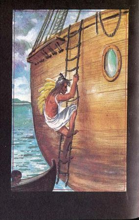 Луи Буссенар - Охотники за каучуком