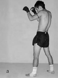 Аман Атилов, Бим Бэкман - 100 лучших приёмов тайландского бокса