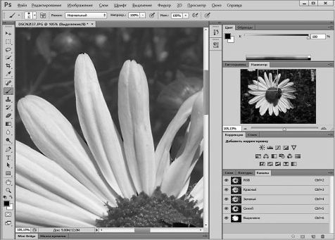 Александр Заика - Photoshop для начинающих