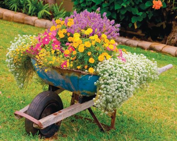 Лариса Петровская - Большая книга дачника