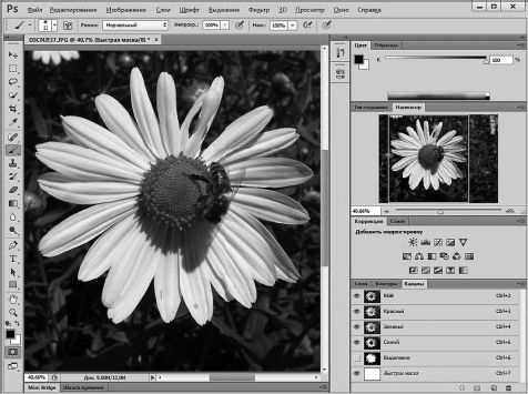 Александр Заика - Photoshop для начинающих