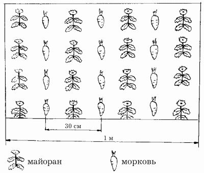 Наталья Иванова - Планировка участка