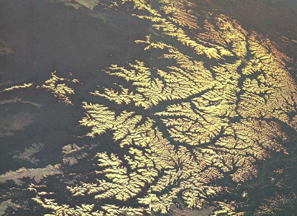 Дэвид Эттенборо - Живая планета