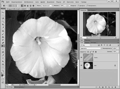 Александр Заика - Photoshop для начинающих