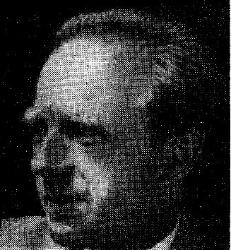 Дэвид Ирвинг - Вирусный флигель