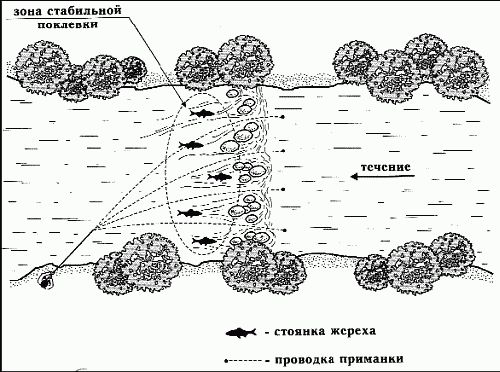 Сергей Смирнов, Александр Пышков - Клёвая книга современного спиннингиста