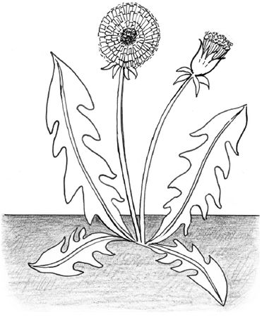 Галина Лебедева, Ольга Тихомирова - Пластилиновая картина. Для работы с детьми...