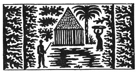 Мишель Пессель - Затерянный мир Кинтана-Роо