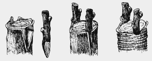 Николай Звонарев - Вишня, черешня. Сорта, выращивание, уход, заготовки