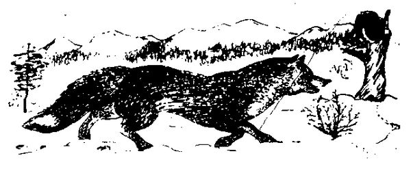 Станислав Олефир - Иду по тайге