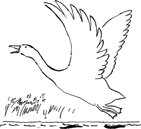 Игорь Акимушкин - С утра до вечера