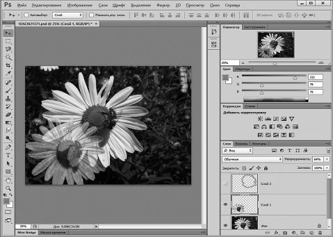 Александр Заика - Photoshop для начинающих