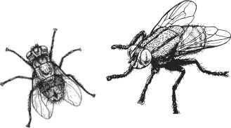 Наталья Сердцева - 99 секретов астрономии