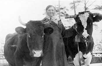 Владимир Побочный, Людмила Антонова - Весенне-летние бои (21.04.-16.07.1942 г.)