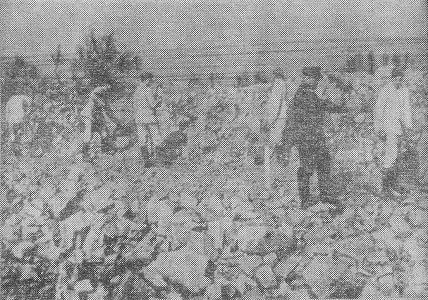 Душан Гамшик, Иржи Пражак - Бомба для Гейдриха