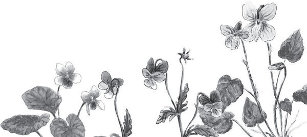 Наталья Сердцева - 99 секретов астрономии