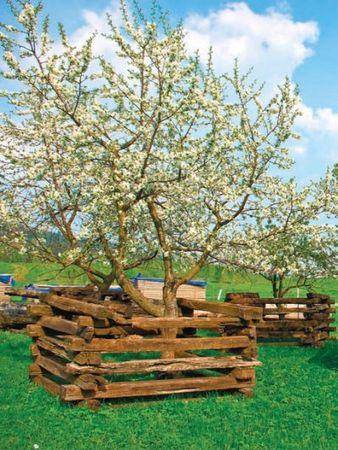 Лариса Петровская - Большая книга дачника