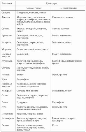 Наталья Иванова - Планировка участка