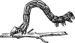 Наталья Сердцева - 99 секретов астрономии