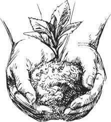 Наталья Сердцева - 99 секретов астрономии